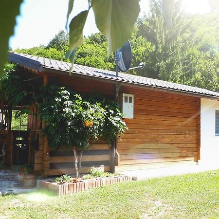 Studio Apartman Firdaus-Bihac, Dobrenica Bb Экстерьер фото