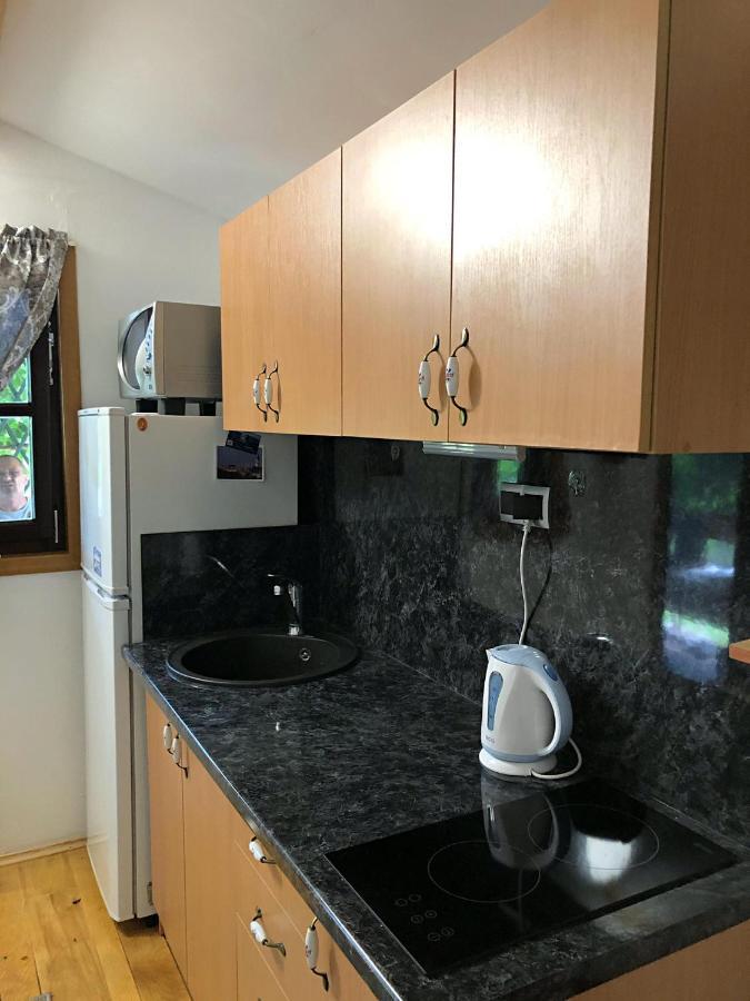 Studio Apartman Firdaus-Bihac, Dobrenica Bb Экстерьер фото