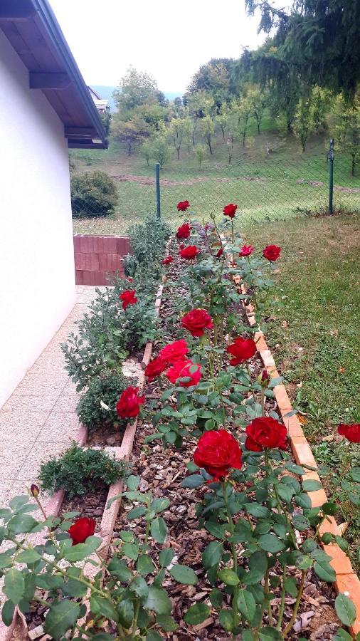 Studio Apartman Firdaus-Bihac, Dobrenica Bb Экстерьер фото